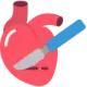 Cardiac thoracic and vascular surgery specialty for heart and vascular treatment