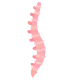 Spine icon representing spine surgery and spinal treatment in India