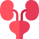 Urology and kidney transplant specialty care in India